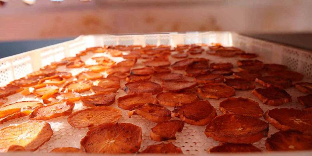 Yaşı 60 TL, kurusu 650 TL! Mahallede kurulan tesiste kurutuldu: İlk ihracat Almanya’ya yapıldı 6